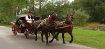 img1.jpg
